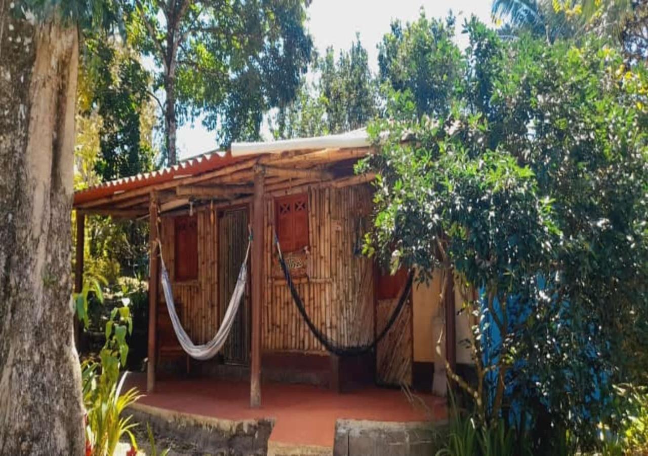Hostal Familiar El Angel Panama B&B Pajonal Arriba ภายนอก รูปภาพ