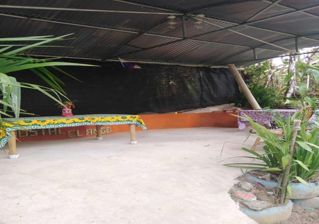 Hostal Familiar El Angel Panama B&B Pajonal Arriba ภายนอก รูปภาพ