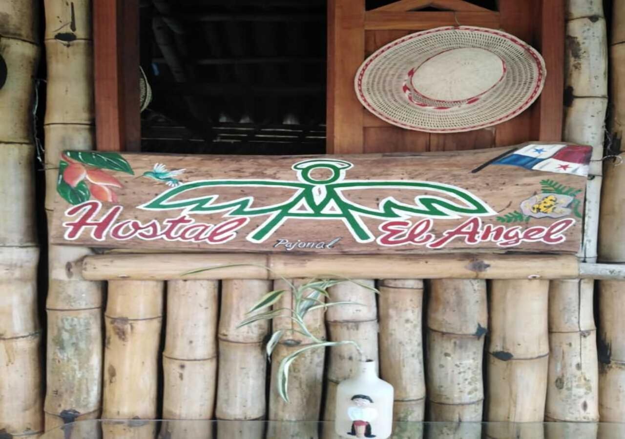 Hostal Familiar El Angel Panama B&B Pajonal Arriba ภายนอก รูปภาพ