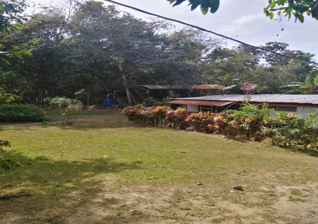 Hostal Familiar El Angel Panama B&B Pajonal Arriba ภายนอก รูปภาพ