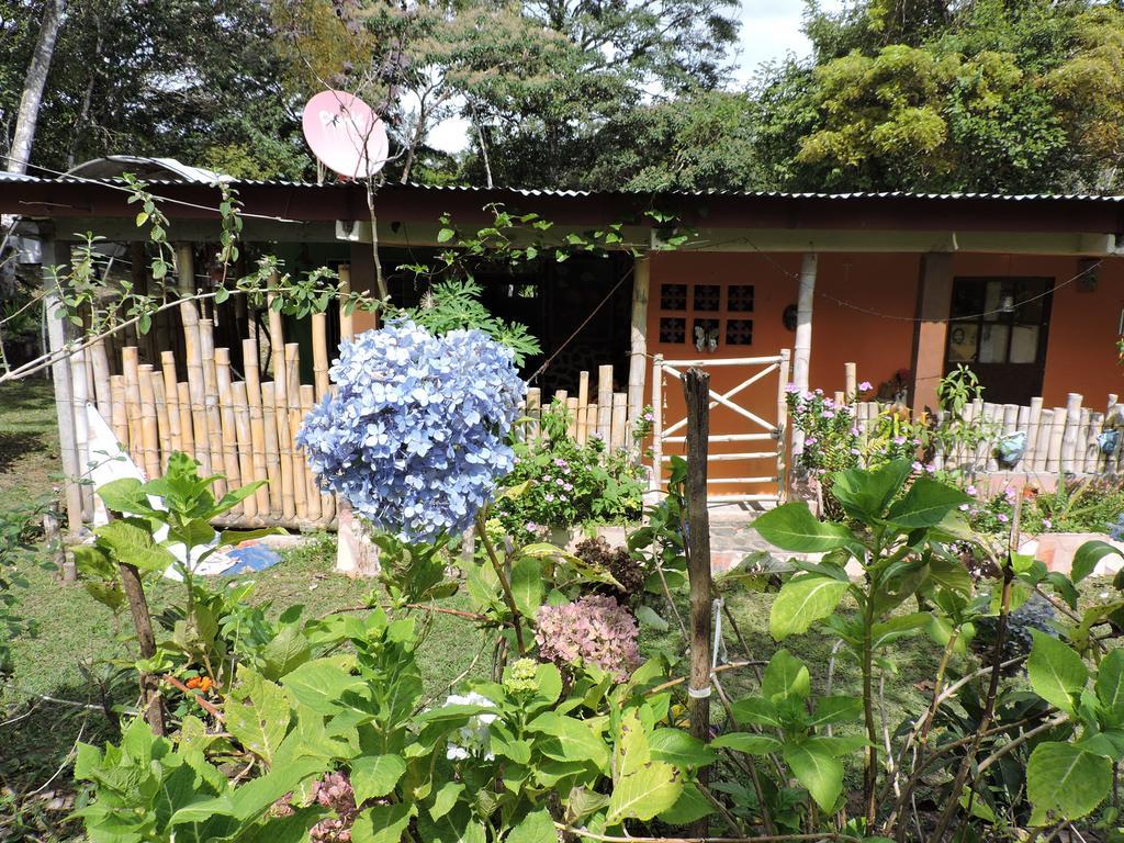 Hostal Familiar El Angel Panama B&B Pajonal Arriba ภายนอก รูปภาพ