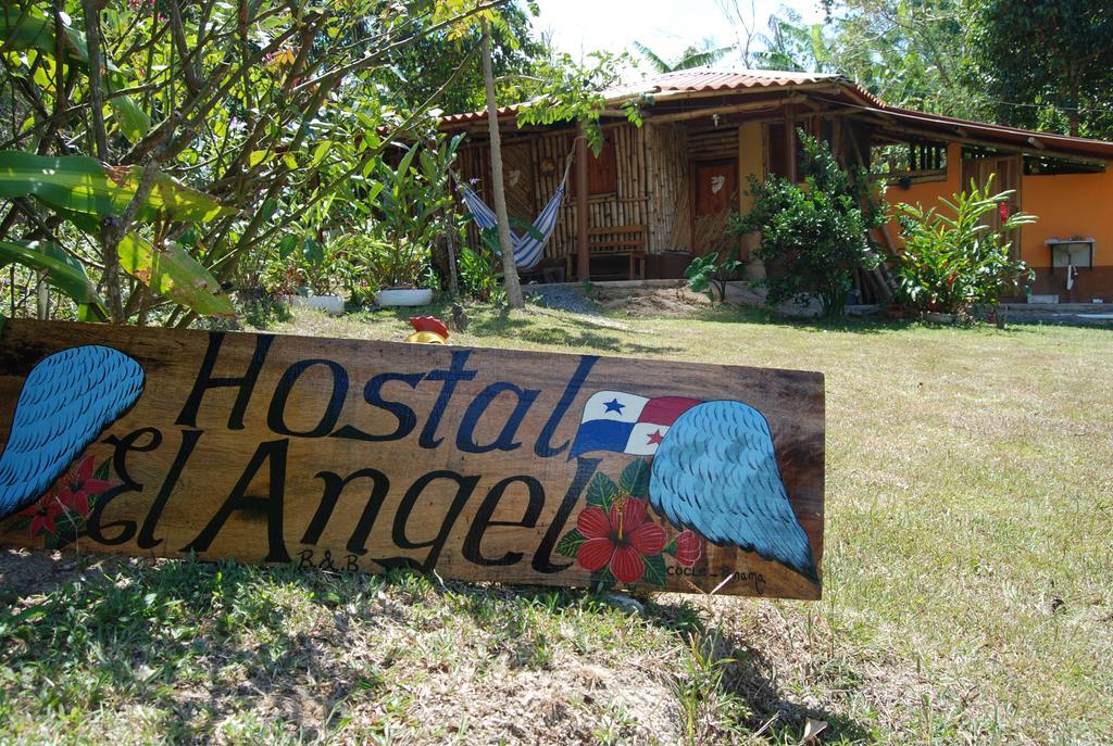 Hostal Familiar El Angel Panama B&B Pajonal Arriba ภายนอก รูปภาพ