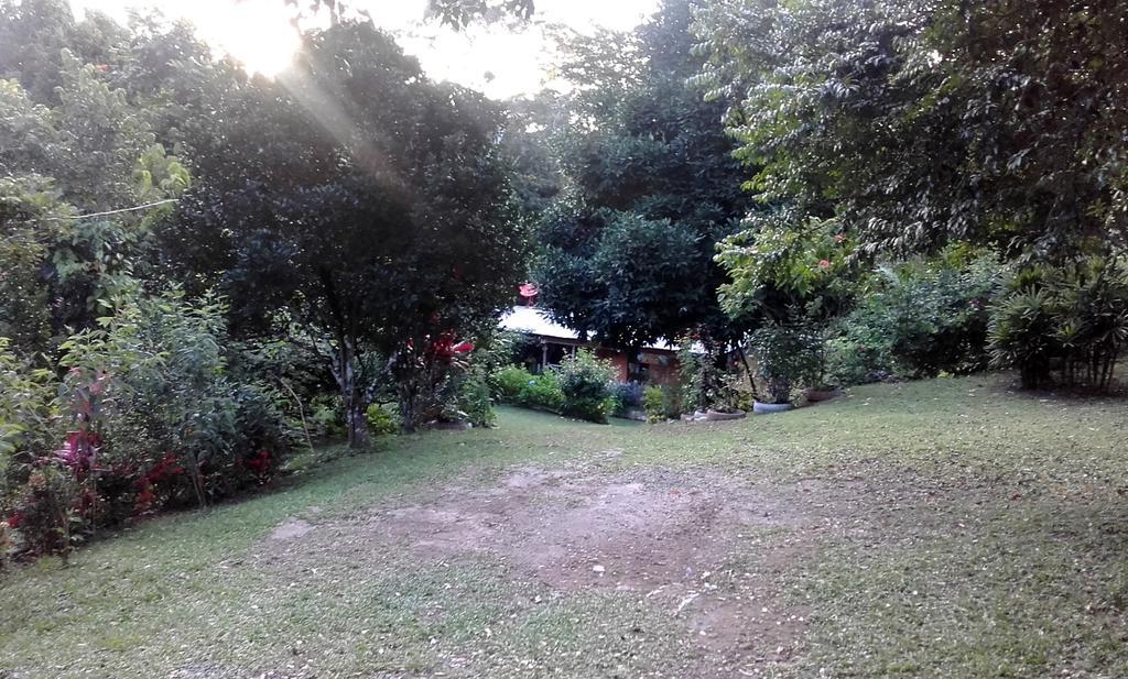 Hostal Familiar El Angel Panama B&B Pajonal Arriba ภายนอก รูปภาพ