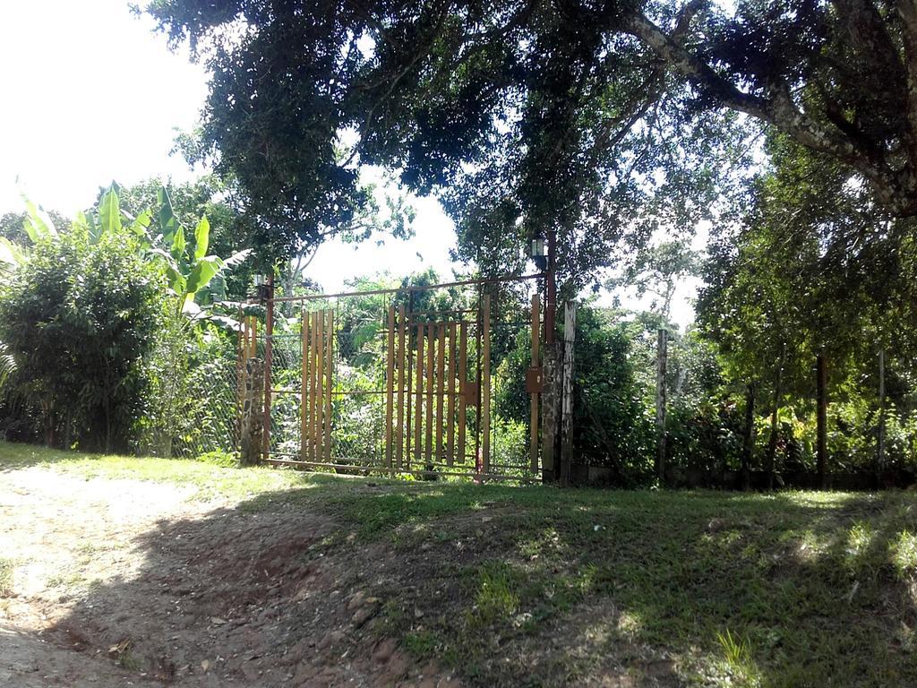 Hostal Familiar El Angel Panama B&B Pajonal Arriba ภายนอก รูปภาพ