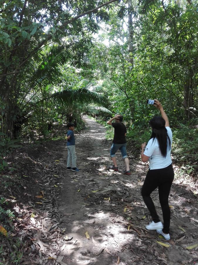 Hostal Familiar El Angel Panama B&B Pajonal Arriba ภายนอก รูปภาพ