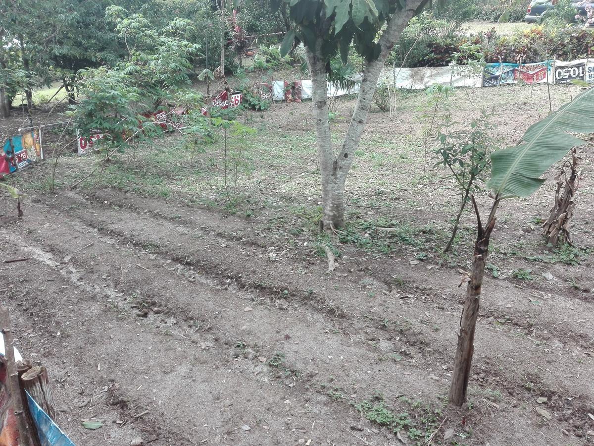 Hostal Familiar El Angel Panama B&B Pajonal Arriba ภายนอก รูปภาพ